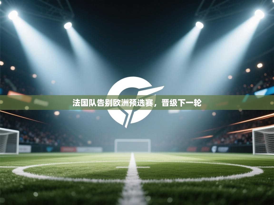 法国队告别欧洲预选赛，晋级下一轮  第2张